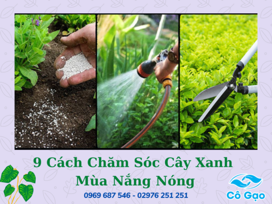 Cắt Tỉa Cây Xanh Tại Tân Hiệp