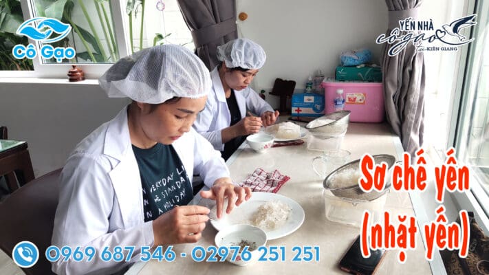 nhặt lông yến nhanh nhất