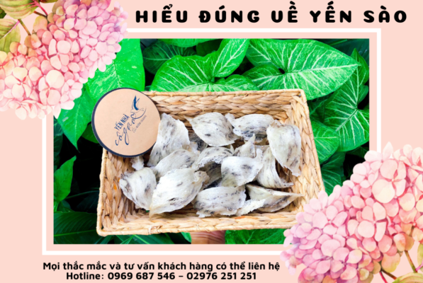 Yến sào Điện Biên